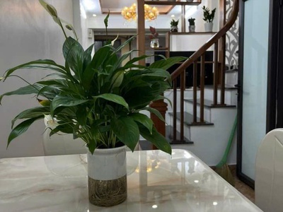 Nhà đẹp vân canh   42m2 - 5t, ngõ thông thoáng, ô tô gần fpt, đh công nghiệp, giá 5.3 tỷ 4