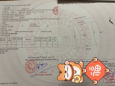 Bán đất biệt thự giá rẻ khu Trường An, ph Lê Thanh Nghị mới, TP HP mới, 208m2, mt 13m 1