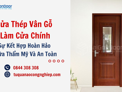Cửa thép vân gỗ làm cửa chính, sự kết hợp hoàn hảo giữa an toàn và thẩm mỹ 3
