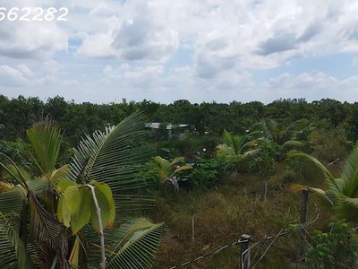 Bán đất vườn cây ăn trái, hòa long, đồng tháp dt 44000m2, giá 22 tỷ, sổ hồng chính chủ. 1