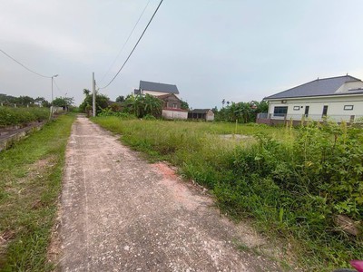 Đất minh phú cũ, nội bài mới, 654m2, mt23m, 13 tỷ, ô tô, gần phố. 2