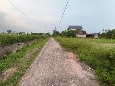 Đất minh phú cũ, nội bài mới, 654m2, mt23m, 13 tỷ, ô tô, gần phố. 3