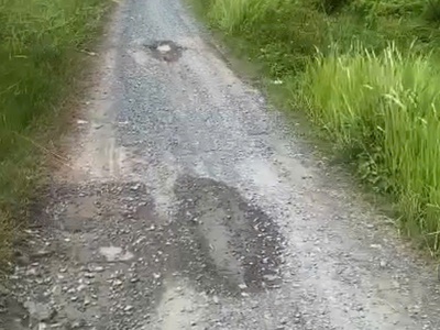 Bán lô đất khủng 1100m    1 sẹc ngắn đỗ văn dậy   đường nhựa xe hơi 1
