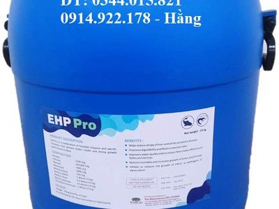 Men vi sinh cho ăn, EHP Pro, bổ sung hệ vi sinh vật đường ruột cho tôm cá 0