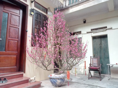 Cho thuê phòng gần mặt phố Minh Khai- Mai Động 3