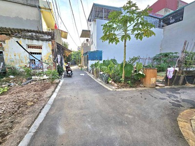 Đa tốn gia lâm siêu hiếm   đường nhựa   oto 4 chỗ vào tận đất   thửa đẹp, nở hậu hơn 3 tỷ 2