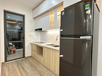 Bán căn hộ chung cư rice city linh đàm 58m2, sổ đỏ, full nội thất mới, 4.2x tỷ 3