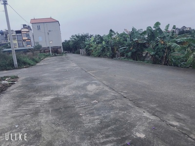 Bán đất 118.8m2 đấu giá x5 lương quy xuân nộn đông anh  thư lâm  - giá 9.x tỷ nhỏ 3