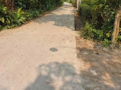Chính chủ cần bán gấp lô đất có vị trí đẹp tại phong chương - phong điền - huế 1