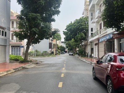 Bán lô đất mặt phố Lê Đình Vũ, Đông Nam Cường, TP HD, 87.75m2, mt 4.5m, vị trí đẹp 1