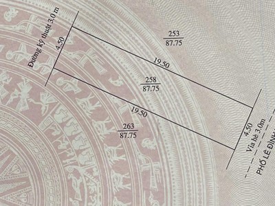 Bán lô đất mặt phố Lê Đình Vũ, Đông Nam Cường, TP HD, 87.75m2, mt 4.5m, vị trí đẹp 2