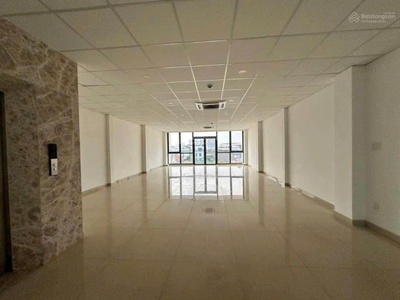 Chính chủ bán biệt thự mt xuân thuỷ, p. thảo điền, quận 2. dt 342m2. giá 56 tỷ 3