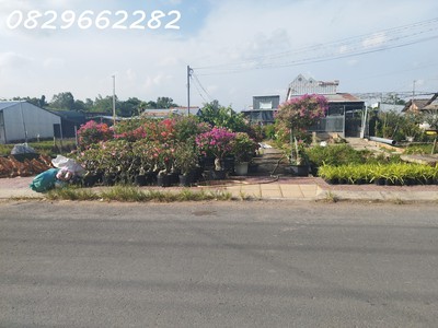 Bán đất thổ cư mặt tiền chính đường làng hoa sa đéc, 200m2, shr, giá 3.5 tỷ 2