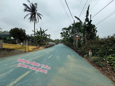 Chính chủ bán lô đất đẹp - ô tô tránh nhau - tam dương, vĩnh phúc 3