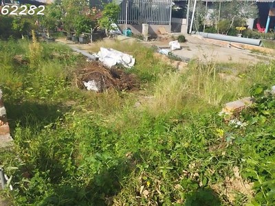 Bán đất thổ cư mặt tiền chính đường làng hoa sa đéc, 200m2, shr, giá 3.5 tỷ 1
