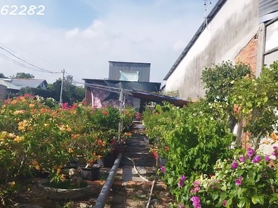 Bán đất thổ cư mặt tiền chính đường làng hoa sa đéc, 200m2, shr, giá 3.5 tỷ 4