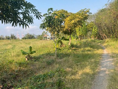 Bán đất cần giờ - an thới đông- doi lầu- giá rẽ 1