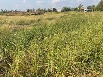 Bán đất cần giờ - an thới đông- doi lầu- giá rẽ 0