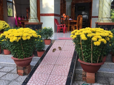 Bán nhà riêng đẹp tại huyện lộ 173, xã tường đa, châu thành, bến tre, dt 1900m2, giá 4.5 tỷ 2