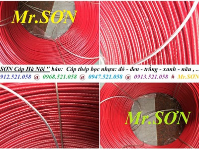 Màu đỏ, cáp thép bọc nhựa đỏ, khóa cáp, tăng đơ mạ kẽm 0947521058 Kim khí Thanh Sơn hà nội cấp 5