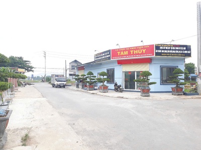 Chính chủ cần bán lô đất tại xã hương gián - huyện yên dũng - bắc giang 1