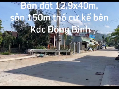 Chính chủ cần bán đất có sẵn nhà cấp 4   nhơn thọ, an nhơn, bình định - diện tích rộng, vị trí đẹp 0