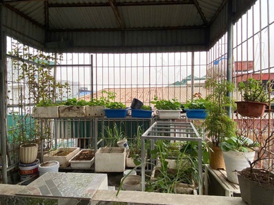 Cực phẩm phân lô phan trọng tuệ   thanh trì - 45mx4tầng - 2 mặt ngõ thoáng   gần phố   xe con đỗ 3