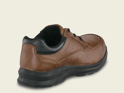 3251- Red Wing Shoe 1