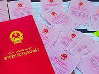 Hàng gốc dân nhờ bán Trữ Khê , Kiến An 0