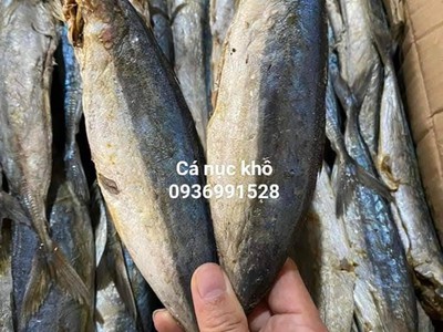 Nơi bán cá nục khô vip ngon tuyển chọn giá tốt 0
