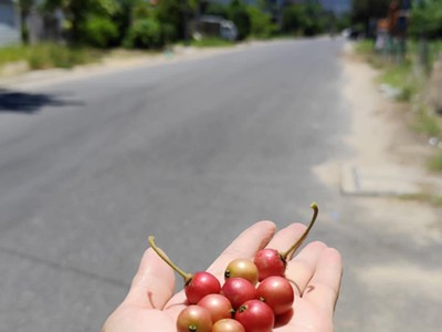  đất đẹp sơn trà, vị trí đỉnh, gần cầu rồng, gần biển mỹ khê, ô tô thông thẳng. 1