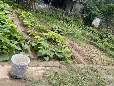 Đất đẹp xã tự nhiên - thường tín - hn 3