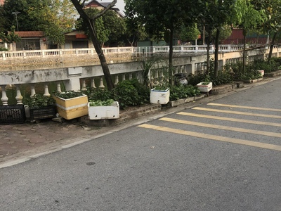 Đầu tư đinh   đất đa tốn  . đường trục chính-ô tô ngủ trong nhà- hàng xóm vin   eco. 52m2 giá 2,8 tỷ 1