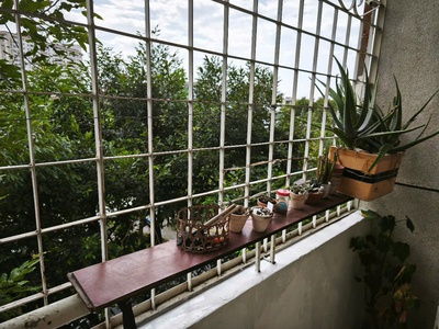 Cần cho thuê gấp căn hộ chung cư 2PN 1