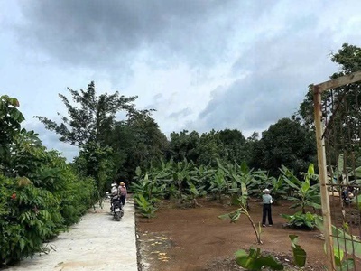 Chính chủ bán đất thổ cư giá rẻ tại bàu hàm 2   thống nhất, đồng nai 0