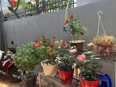 Bán nhà mặt tiền đường số 8 , Phường Tam Phú. Giá chỉ có 7.0 5 tỷ 5