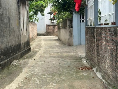 Giá lợn chết-rẻ nhất đông yên. chính chủ e mở bán lô đất - thành phố hn 2