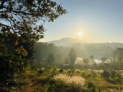 Bán 6 lô đất 11.000 m2, đắk song - đắk nông. bán đất đăk nông phù hợp khu nghỉ dưỡng 0