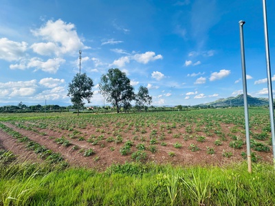 Bán 1.1 sào đất tân nghĩa - hàm tân giá rẻ 750 triệu đường ô tô 4