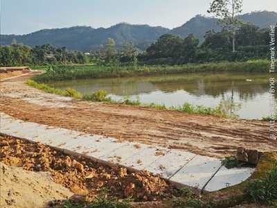 Cần tiền bán gấp lô 100m2 full thổ cư, sổ đỏ hà nội  chỉ 850tr thôi ak 1