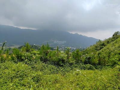 Cc bán đất nghỉ dưỡng đẹp nhất tiến xuân: 20.000m   đất ở, đất cln, đất rừng sx  chỉ 14,5 tỷ 1