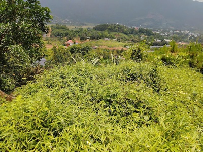 Cc bán đất nghỉ dưỡng đẹp nhất tiến xuân: 20.000m   đất ở, đất cln, đất rừng sx  chỉ 14,5 tỷ 4