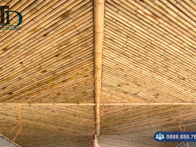 Bán cây trúc khô trang trí giá rẻ chất lượng tại TPHCM 1