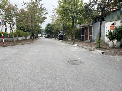 Chính Trung Gia Lâm: Bán đất 135,5m2 mặt tiền 5m - Tiềm năng kinh doanh lớn 2