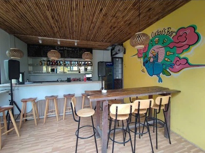 Bán villa view lúa Trà Quế cực chill với 530mv đất giá chỉ 15,5 tỷ. 3