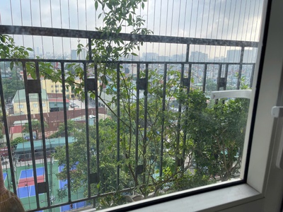 Cho thuê căn hộ chung cư 1