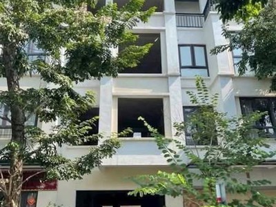 ECORIVER hàng hiếm vườn tùng 0