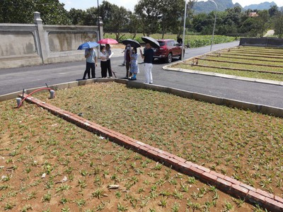  Gần Khu Công Nghiệp Phú Thành - Chi Nê - Lạc Thuỷ - Hoà Bình 1