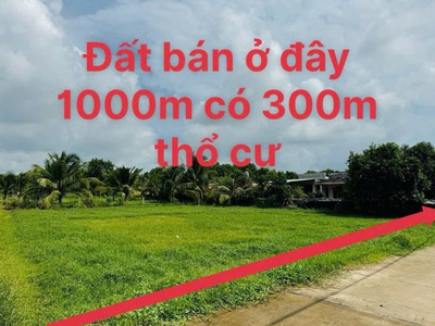 Đất khủng 1033m2 có 3,750 tỷ phước thạnh củ chi tp.hồ chí minh. 0