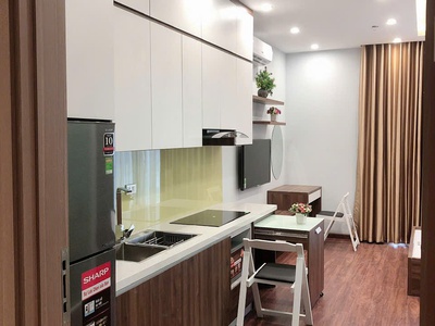 Cho thuê căn studio 28m2, full đồ tại chung cư vinhomes greenbay, mễ trì, hà nội 2